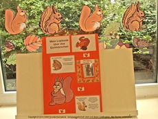 Beispiel-Lapbook-Eichhörnchen.pdf